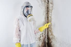 Best Black Mold Removal  in Utica, NY